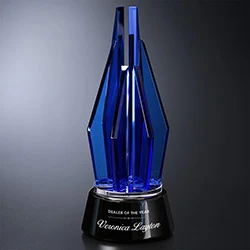 Vector Indigo Award 1