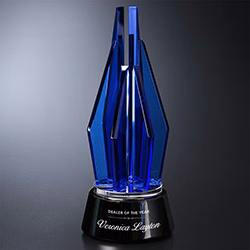 Vector Indigo Award