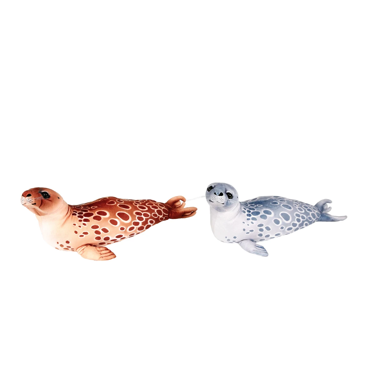 Brown and Grey Seals 1