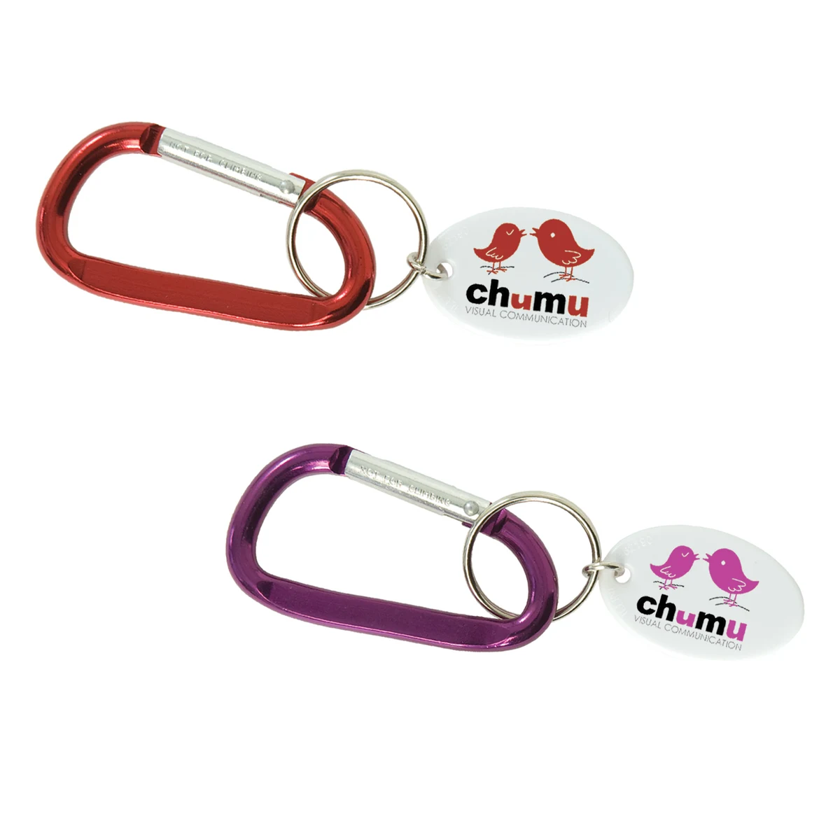 Small Carabiner Keytag 1