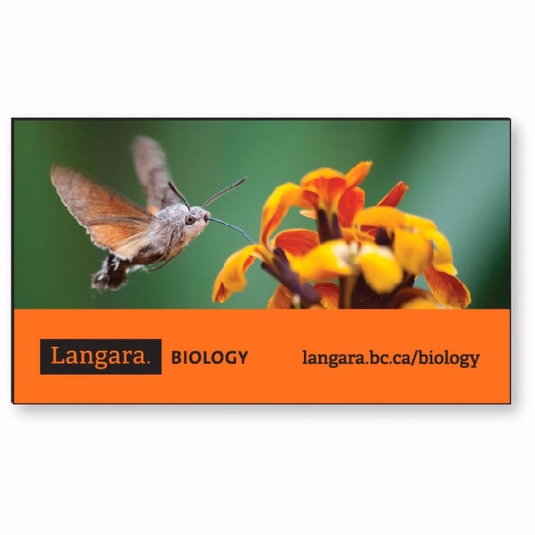Stock Rectangle Shape .035 Memo Magnet (2"x3 1/2") High Resolution Full Colour Imprint