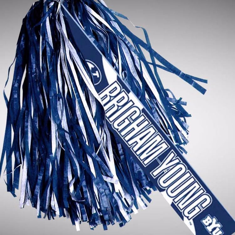 Deluxe Stick Rally Pom Pom 9 - 15"