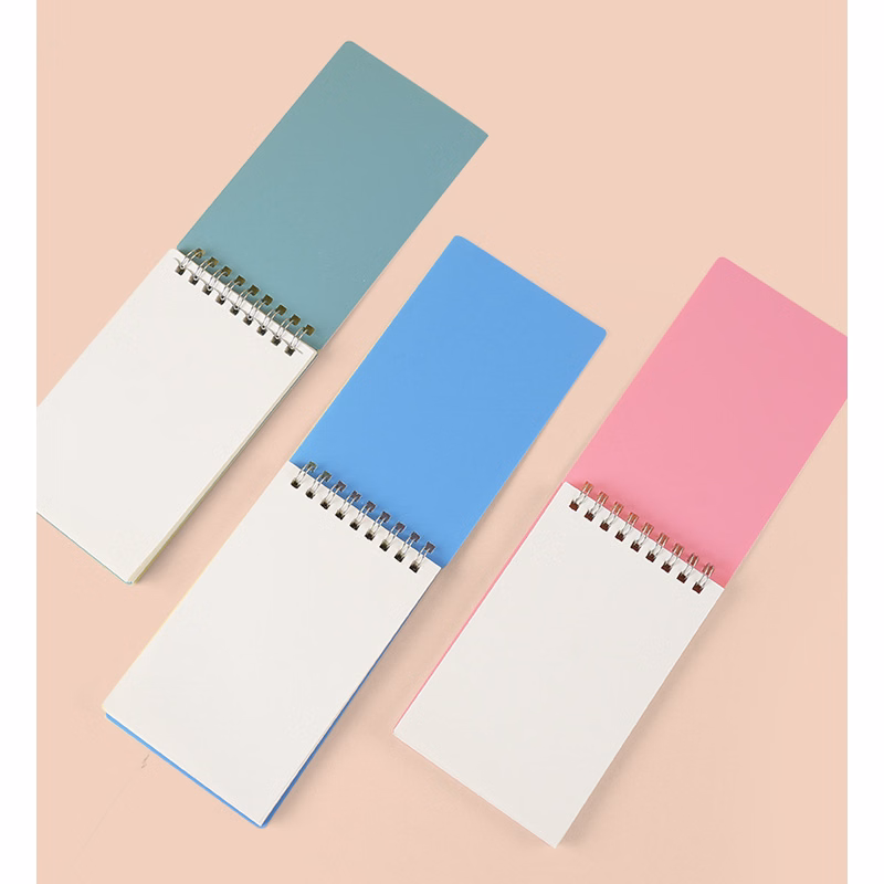 Little Spiral Notebook