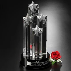 Constellation Award 1