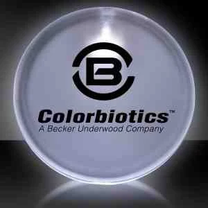 White 2" Lighted Glow LED Button Pin Badge 1
