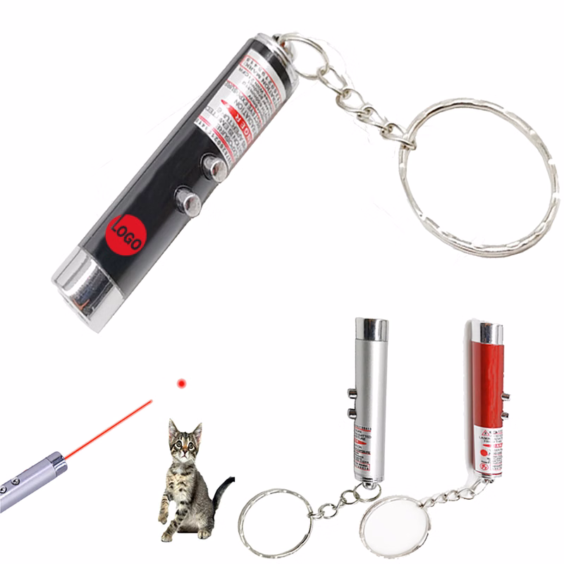 Laser Flashlight & Pointer Keychain