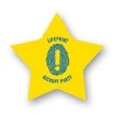 Poly Lapel Pins 1