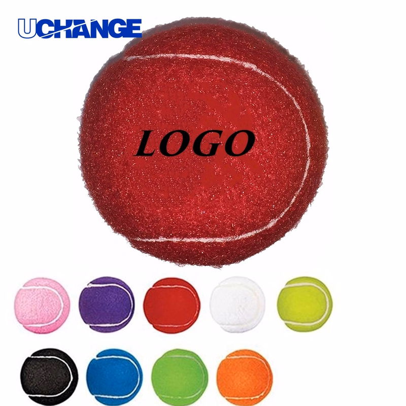 Pet Training Tennis Ball Toy for Play