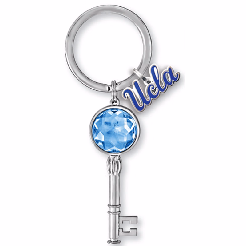 Bling Skeleton Key Tag With Message Tag