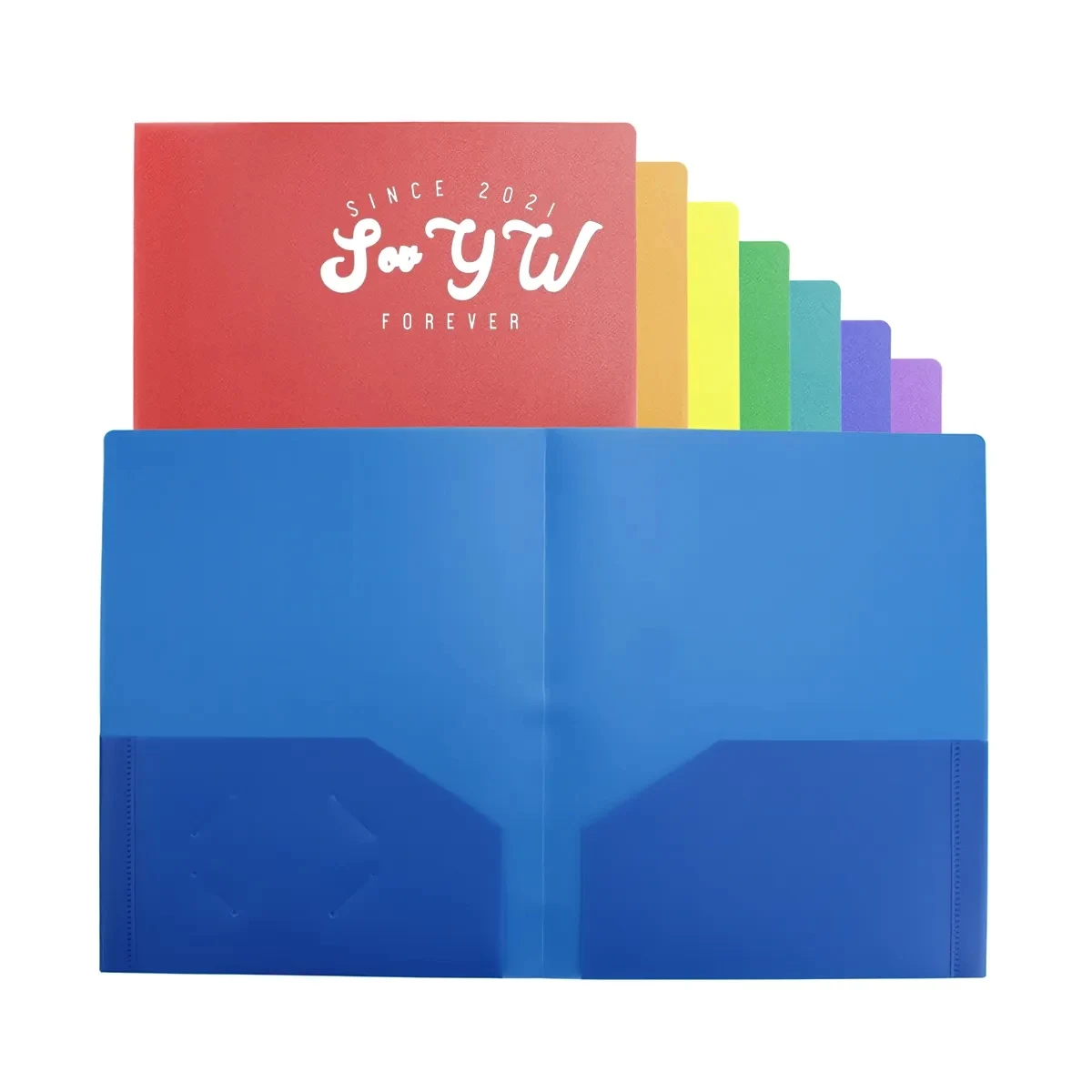 A4 Size Plastic Folder With Pockets 1