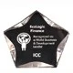 6 Inch Clear/Black Luminary Star Acrylic Trophy 1