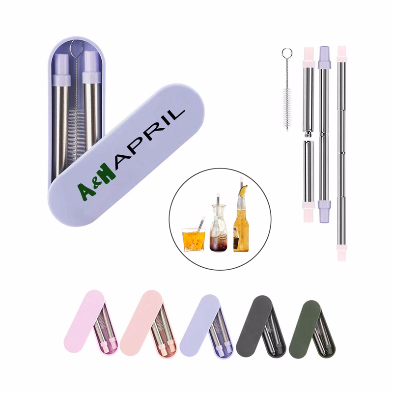 Collapsible Stainless Straw with Case