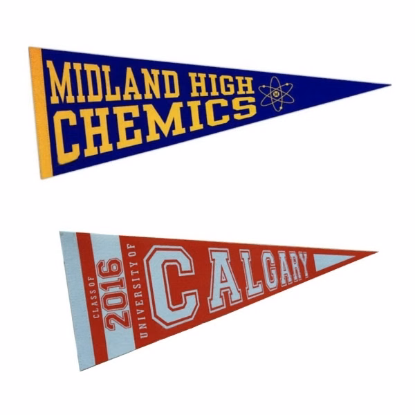 Promotional Fabric Pennant Triangle Flag