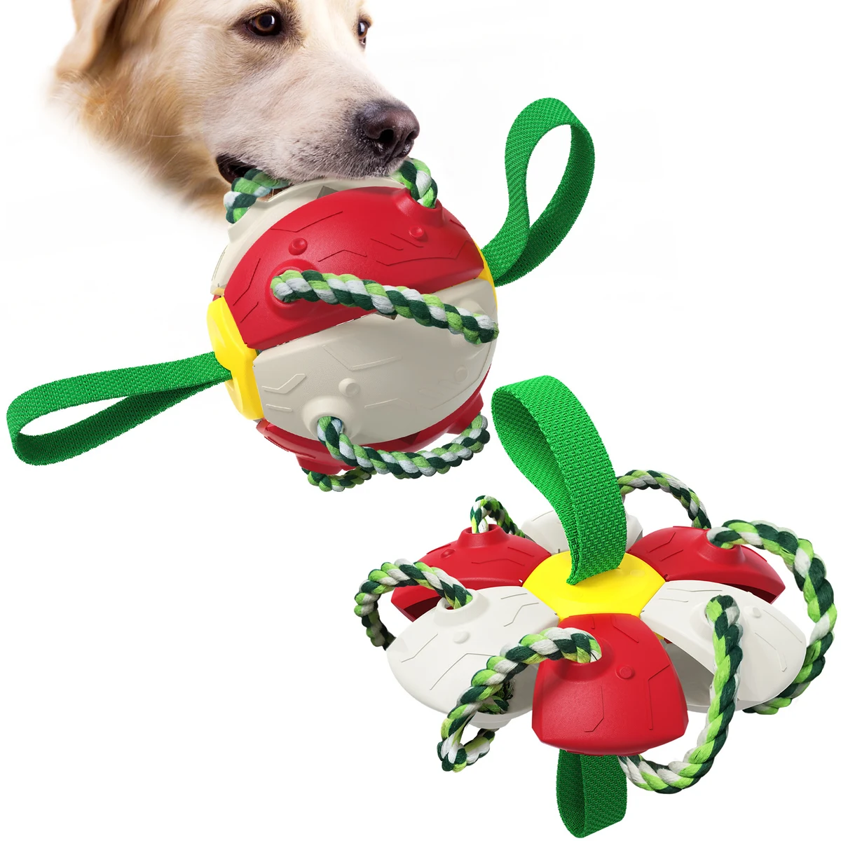 Dog Toy Foldable Flying Disc /Flyer 1