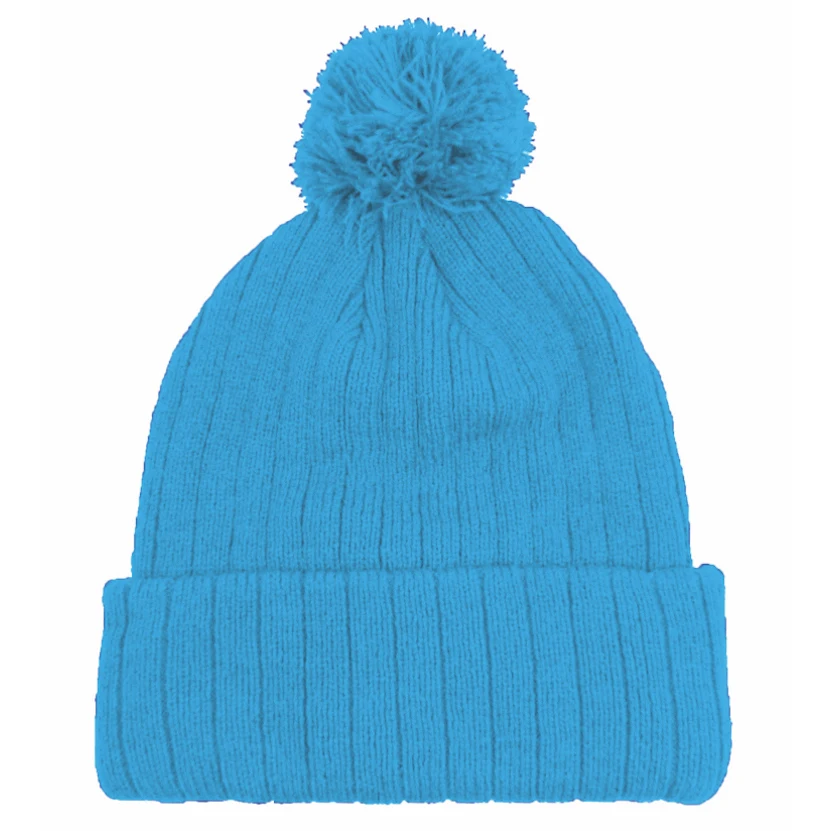 Beanie w/Pom 1