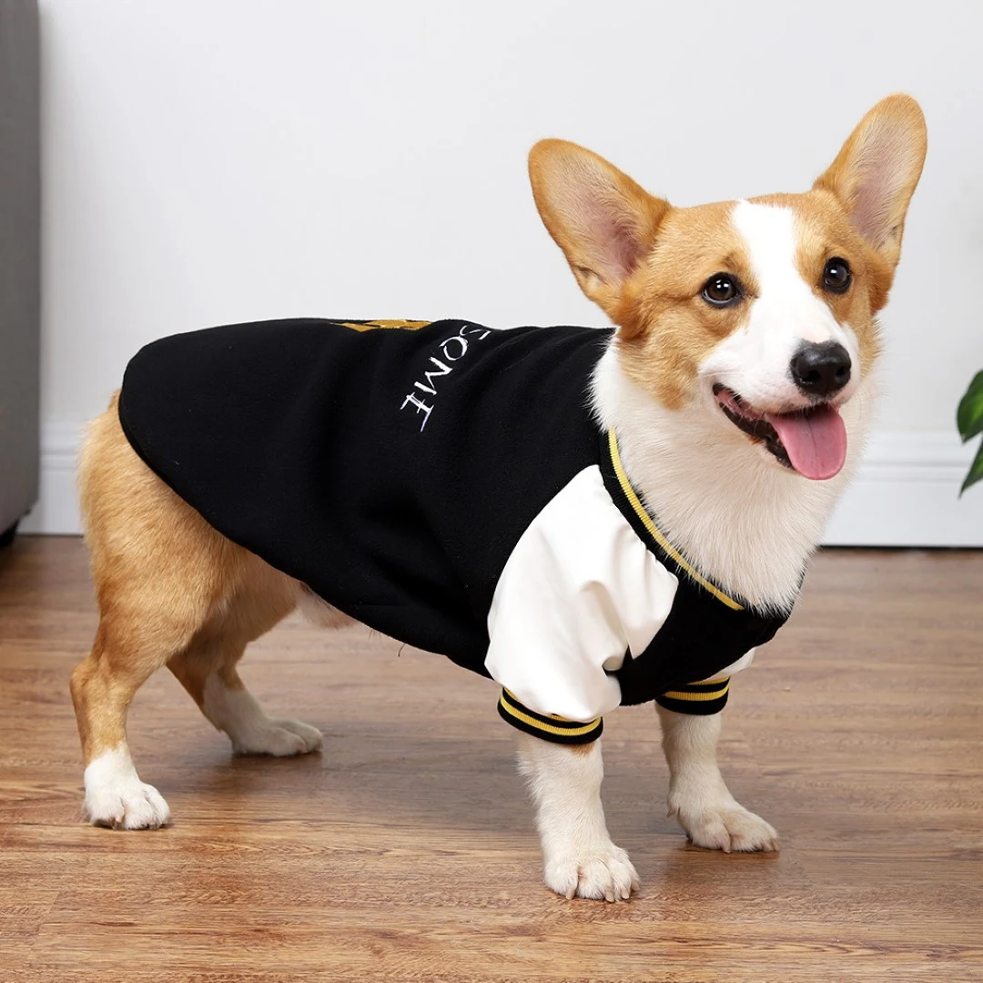 Pet Baseball Uniform 1