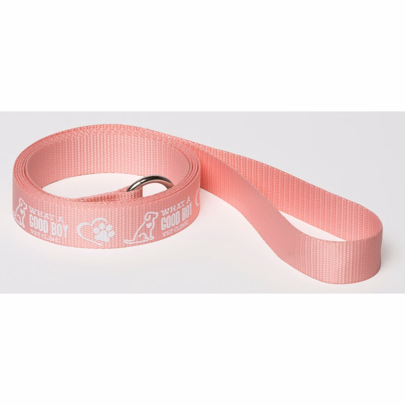 6' Pet Slip Leads 2-sided