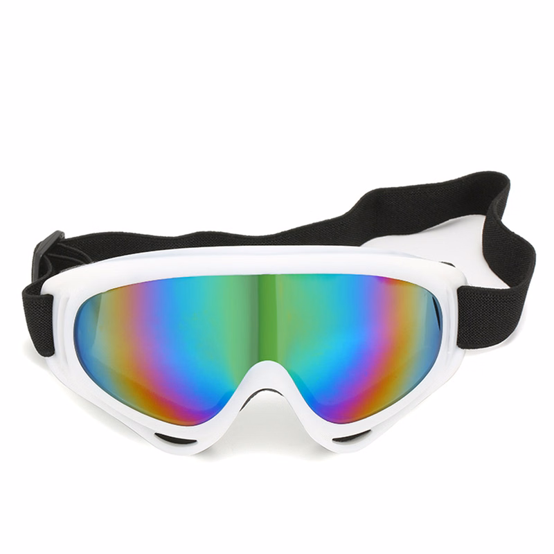 Ski Anti-Fog Goggles