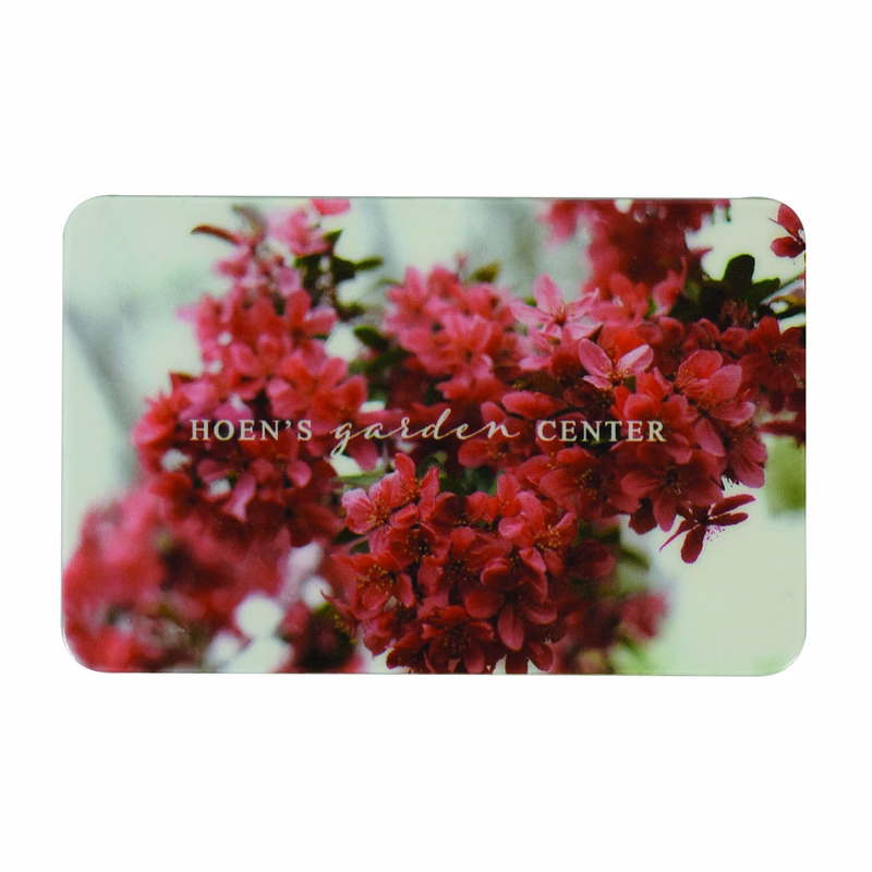3.37"W x 2.12"H USA Made Standard PVC Full Color ID Card
