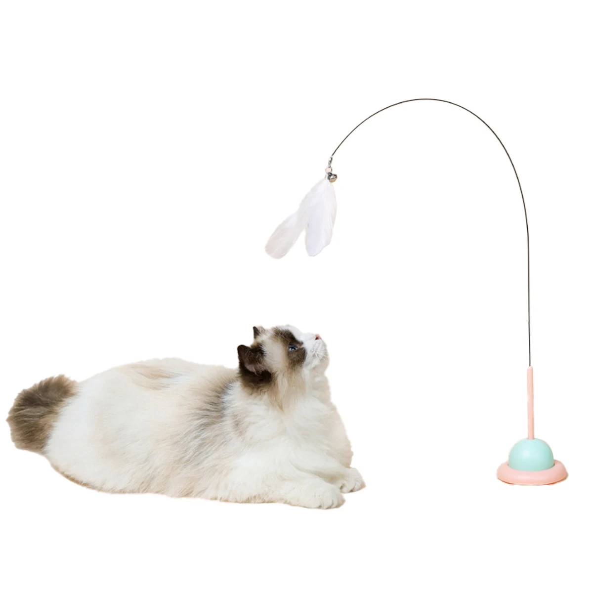 Suction Cup Wire Cat Teaser 1