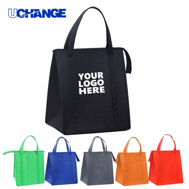 Insulated Lunch Tote Bag Organizer for Cross-Country Use