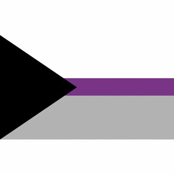 Demisexual Flag
