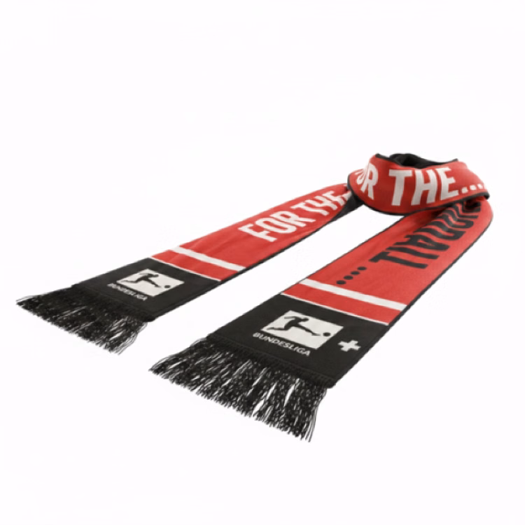 Epicolor Fringed Scarf