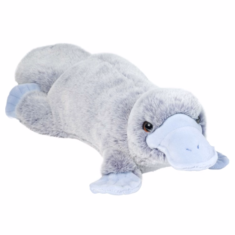 Allie Platypus Soft Stuffed Animal