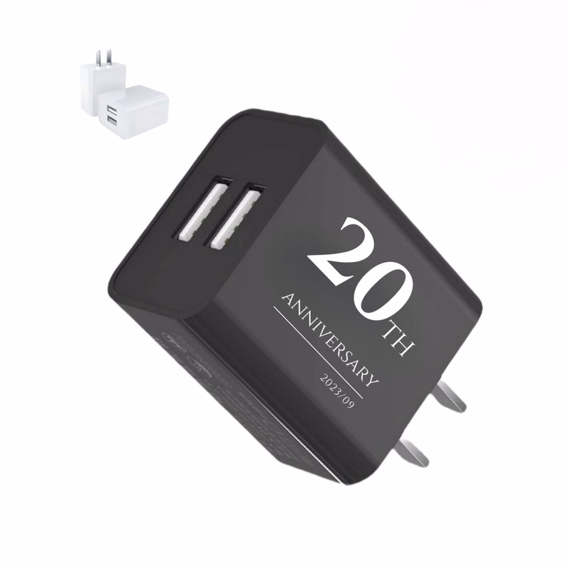 10W Dual Port Plug Wall Charger Block