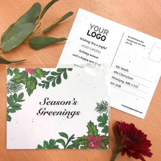 Season's Greenings Plantable Holiday Postcards 1