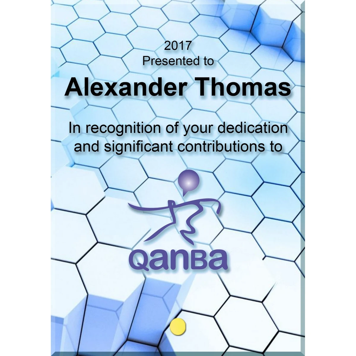 Vertical Rectangular Award with Pin (8"x10") 1