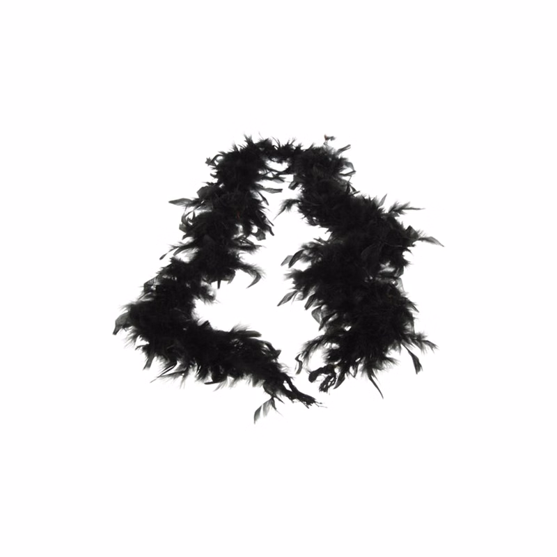 Black Feather Boa - 6'