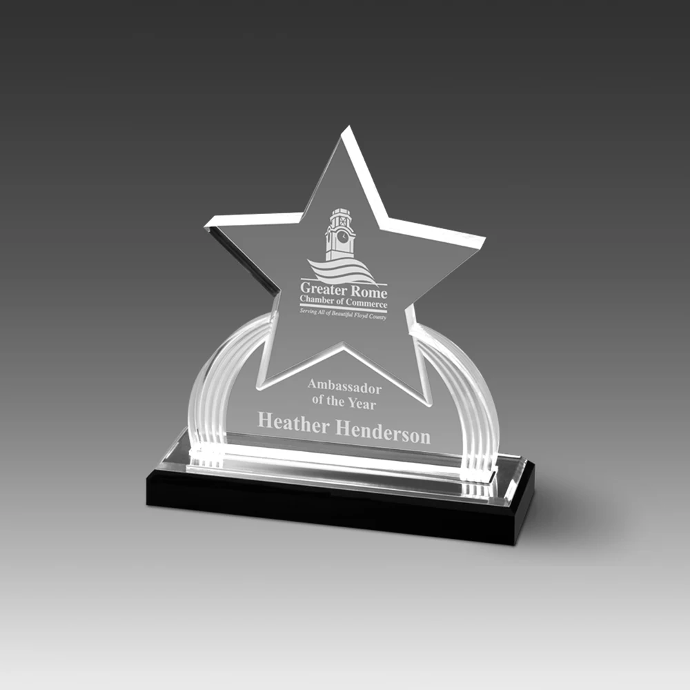 GEO Star Award (6"x6"x2") 1