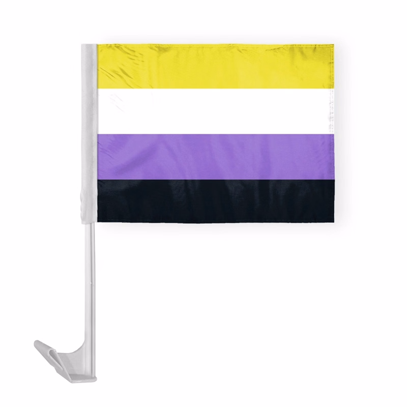 12 " x 16 " ePoly Non-Binary Pride Economy Car Flag