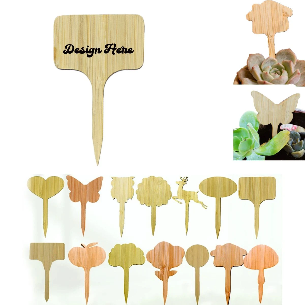 Eco-Friendly Bamboo Plant Labels for Garden 1