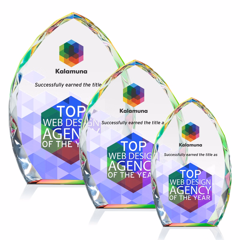 Wilton VividPrint™ Award - Prismatic