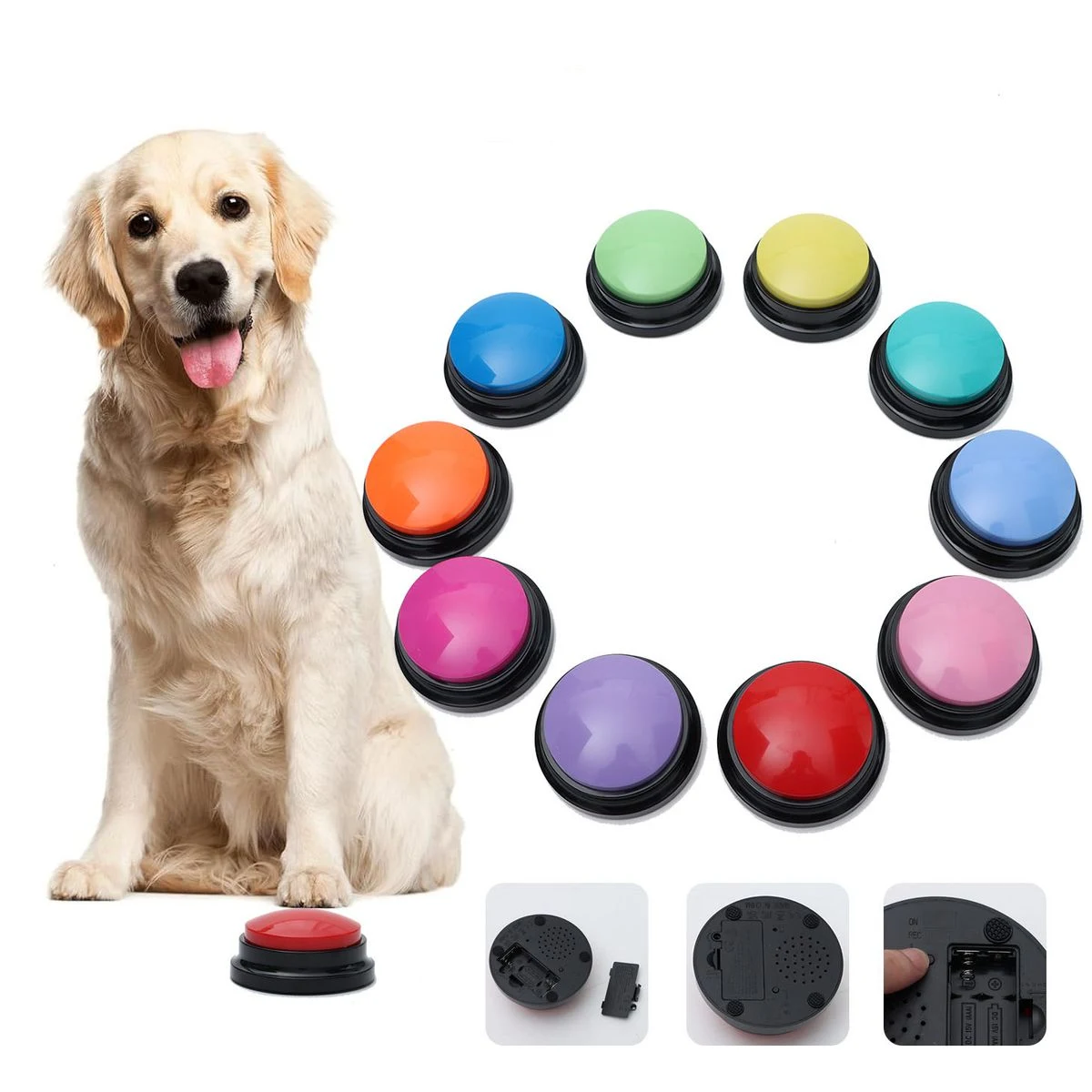 Plastic Interactive Dog Sound Button Training Toy 1