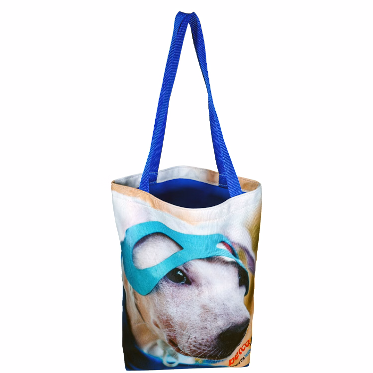 Medium Colorful Liner Tote