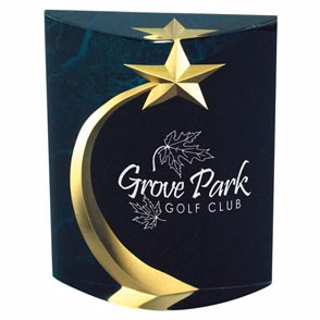 Shooting Star Marblelized Award