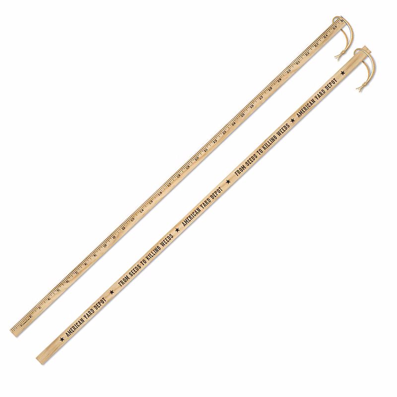 Yardstick (Walking sticks) 1 side