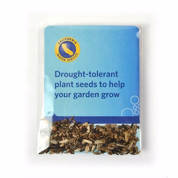 Sunflower Seed Packets